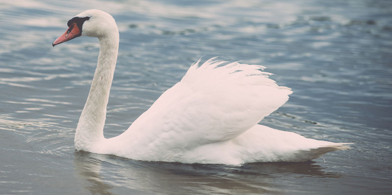 Lernen Sie Französisch in unserem Zentrum in Biel.